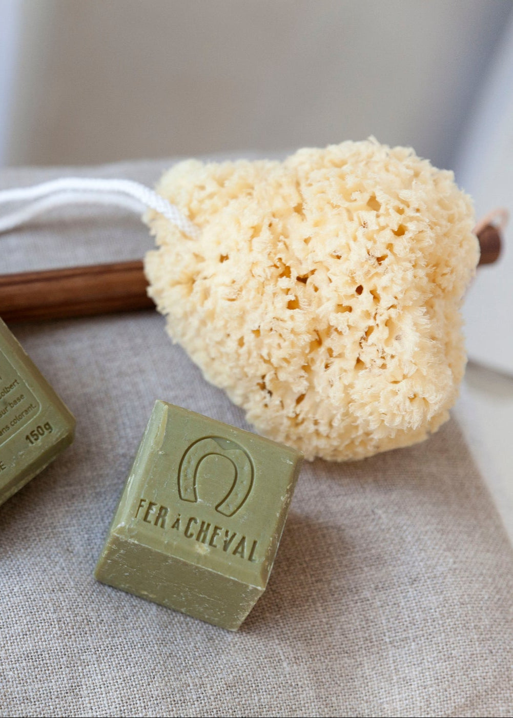 Mediterranean natural sponge