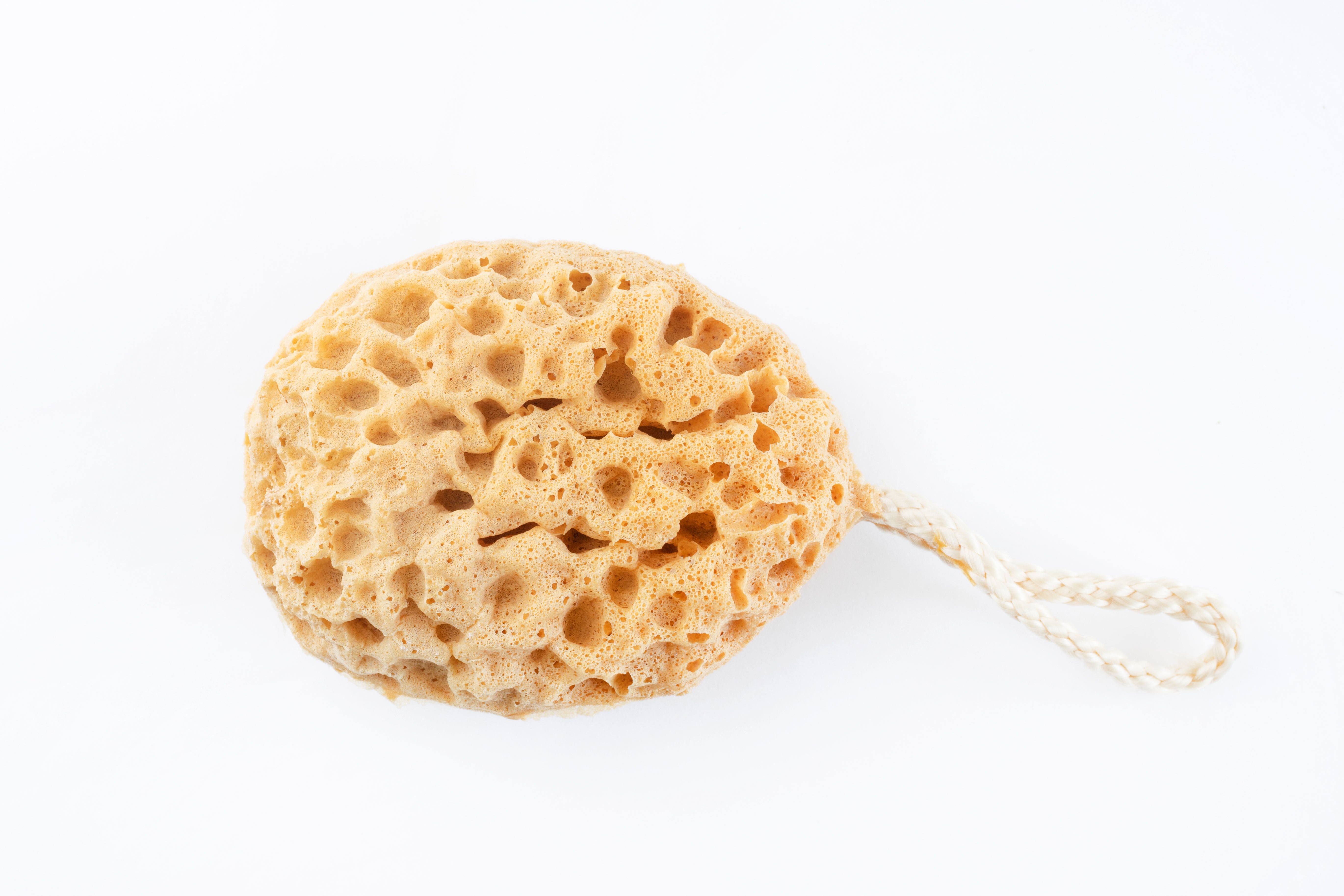 Natural Mediterranean Sponge